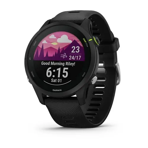 Smart watch GARMIN Forerunner 255 Slate Grey - 010-02641-10