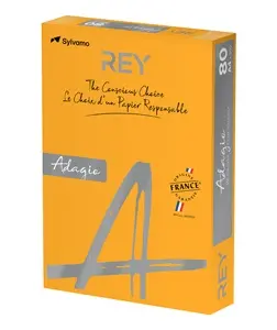 Papir fotokopirni color  A4  80gr Rey Adagio intensive narančasti 70 500/1