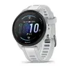 Smart watch GARMIN Forerunner 165 MistGrey Whitestone