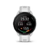 Smart watch GARMIN Forerunner 165 MistGrey Whitestone